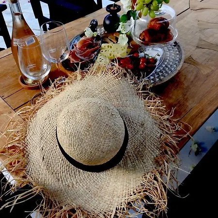 Vendégház Casa Boho